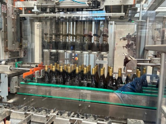 Case Packer Mas Pack Minipack