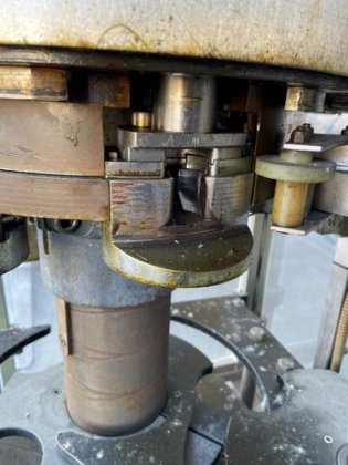 キャッパー・ベルトローサ・プラスチック・マッシュルーム