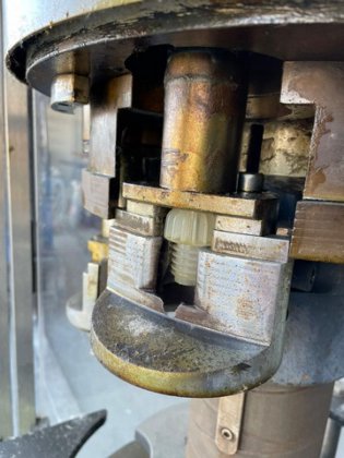 キャッパー・ベルトローサ・プラスチック・マッシュルーム