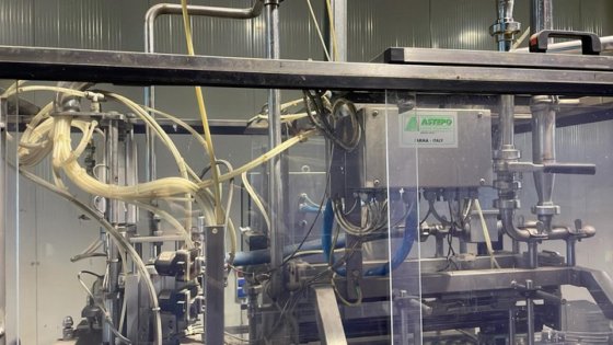 Box 内袋线 Astepo