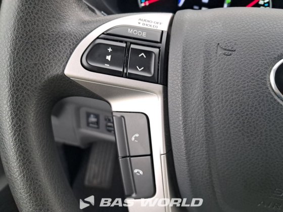 BYD クローズドボックスバン