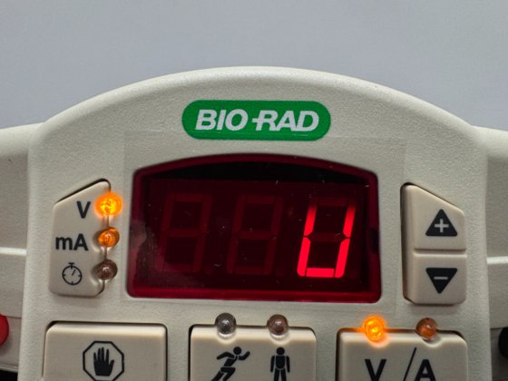 Bio-Rad PowerPac Basic 408156