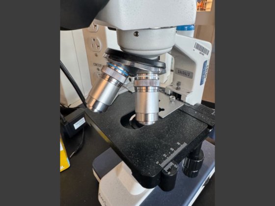 AmScope Microscope