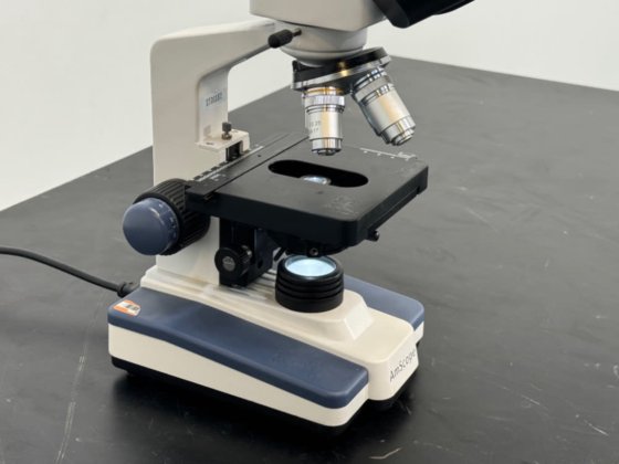 AmScope Microscope