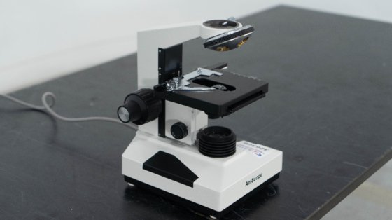 AmScope Microscope 326366