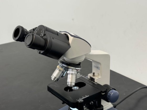 AmScope Microscope