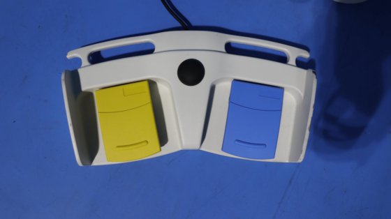 2019 OLYMPUS ESG-100