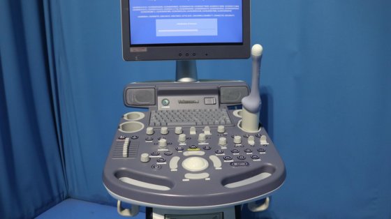 2015 GE Voluson P8