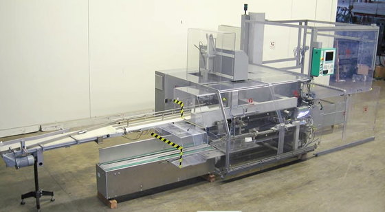 Marchesini Case Packer Palletizer Case