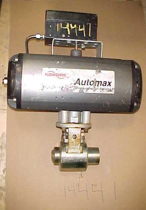 Flowserve Automax 1"-1/4" #14441 in