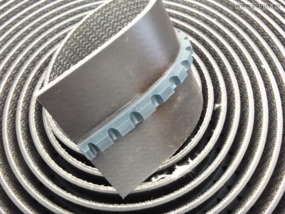 SIEGLING Transportband