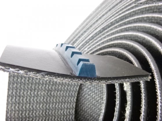 SIEGLING Transportband