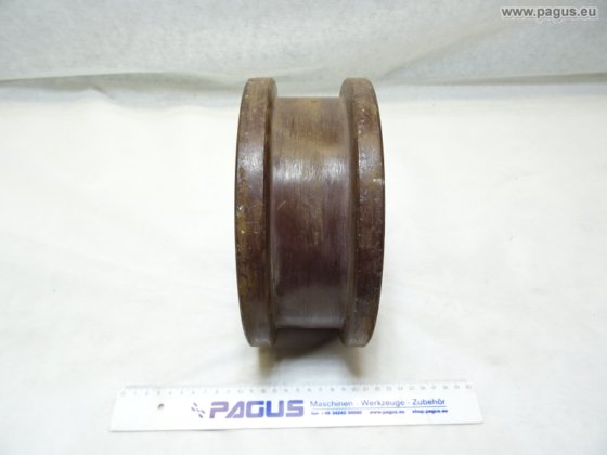PAGUS Schienenrad