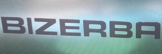 BIZERBA(ビゼルバ) SE 255