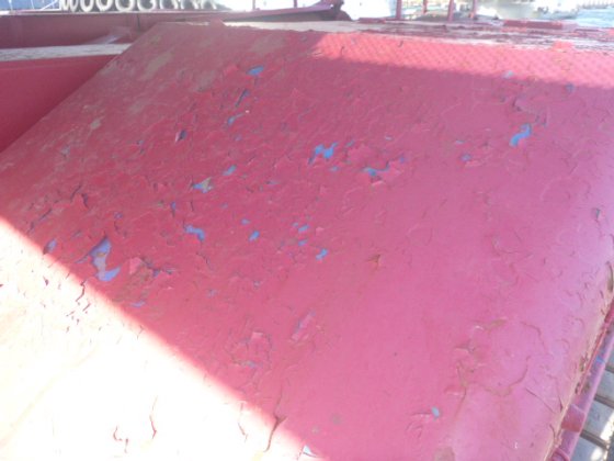 2007 年长野 NUZ090D