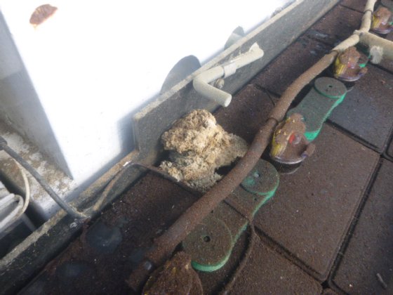 2015 联科行动 FB20 8