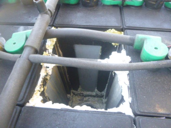 2017 年 TOYOTA 8FB25