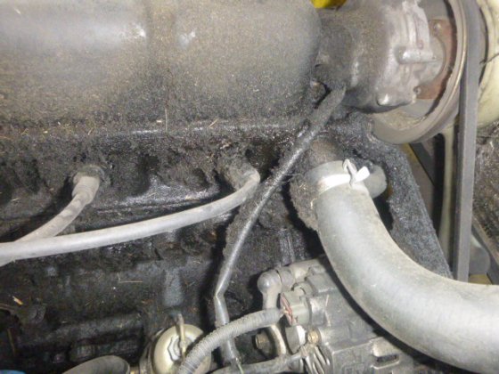 2000 KOMATSU FG15C 17