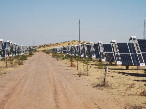 太陽電池パネルのための自己動力を与えられたリモート・コントロール価格のドライ クリーニングのロボット