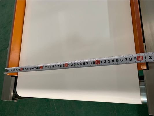 电子传送带式金属探测器，适用于加工食品、熟食、海鲜