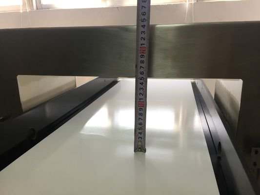 食品加工行业海鲜水果面条传送带金属检测机