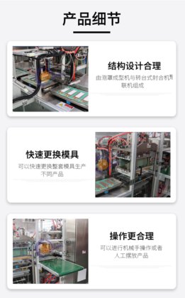 CD-5268全自动泡罩包装机 灯泡唇膏包装机