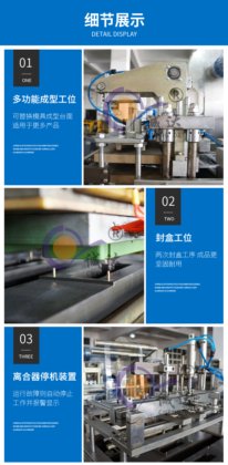 CD-500F/S/H全自动固体胶纸塑包装机