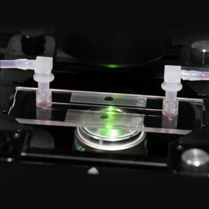 µ-Slide I 单通道玻璃底培养载玻片