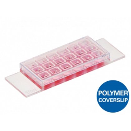 µ-Slide 18孔腔室载玻片