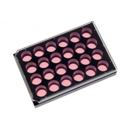 24孔板 德国ibidi