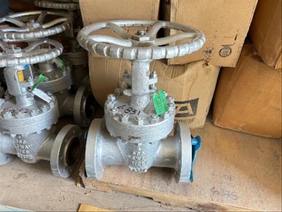 (NEW) 2 Flowserve Submersible Pumps