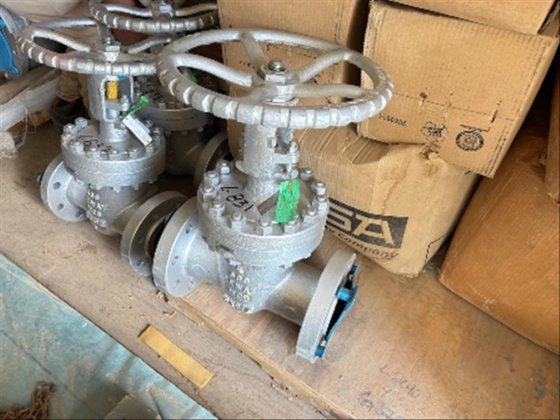 (NEW) 2 Flowserve Submersible Pumps