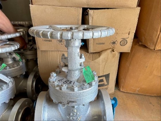 (NEW) 2 Flowserve Submersible Pumps