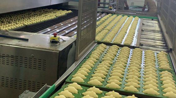 Rademaker Oven loading & deloading