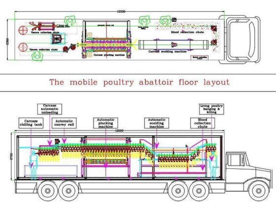 移动式屠宰场的价格 用于肉鸡的大型农场家禽设备 家禽农场设备