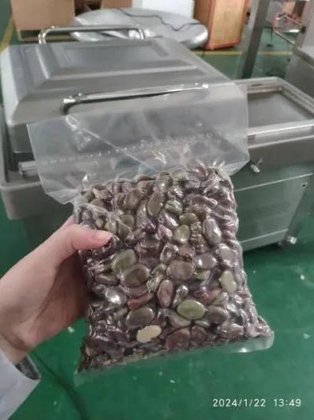 多功能食品谷物包装机 冷冻鲜鱼肉类蔬菜真空封口机 食品包装机