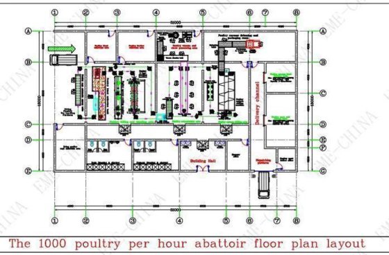 先进的家禽屠宰设备 屠宰场设计 用于农业机械的鸡屠宰场拔毛机