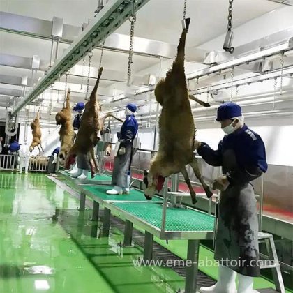 高品质屠宰设备 羊脱毛机 山羊/绵羊屠宰场设备 用于山羊屠宰场设计