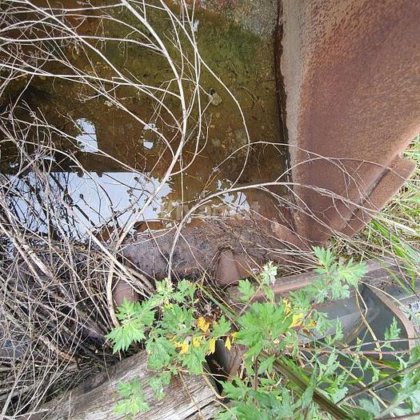 MORIN MORIN MODULE 6