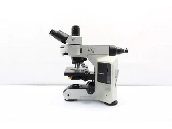 Olympus BX53 Fluorescence Motorized XY