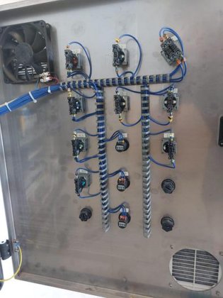 2011 Bertolaso Capping machine