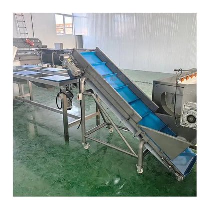 专业土豆清洗线高效工厂价格高质量精确分选