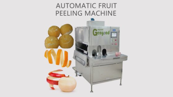 Small Fruit Sorting Machine Vegetable