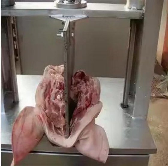 屠宰设备 猪头切割锯 猪屠宰场屠宰机械 猪屠宰线