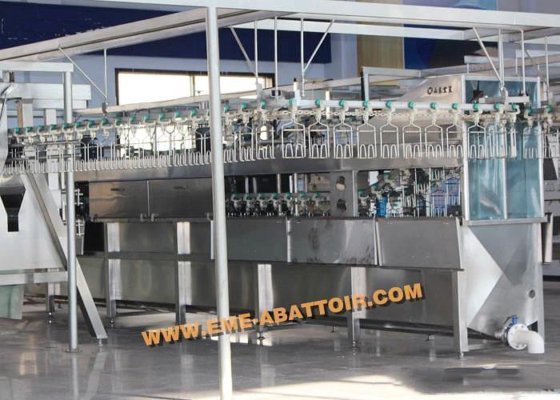 家禽胴体烫毛机 鸡屠宰场设备 家禽设备