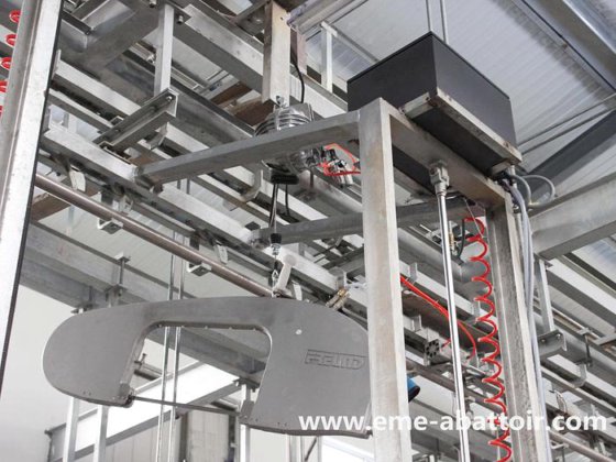 最优惠的价格 智能屠宰解决方案 猪胴体带式分割锯 屠宰场机器 屠宰场设备