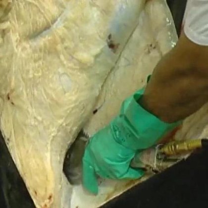 定制成套牛肉屠宰设备 小型牛屠宰设备