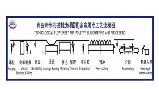 热销优质低价家禽屠宰场用家禽胴体收集台屠宰工具肉类加工机