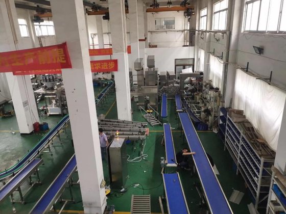 带制动法兰的 PU 水果输送带机 食品工业带式输送系统