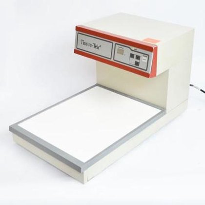 樱花解剖学套装